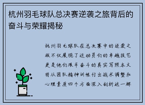 杭州羽毛球队总决赛逆袭之旅背后的奋斗与荣耀揭秘