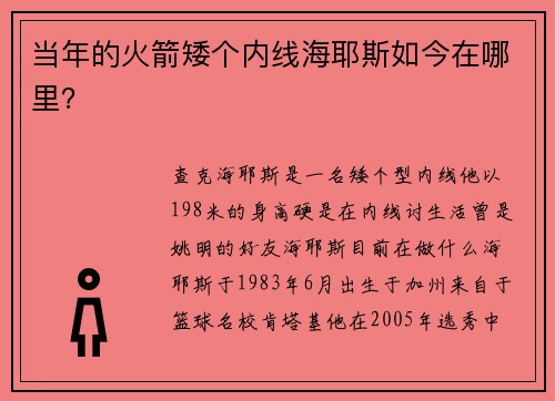 当年的火箭矮个内线海耶斯如今在哪里? 当年的火箭矮个内线海耶斯如今在哪里?